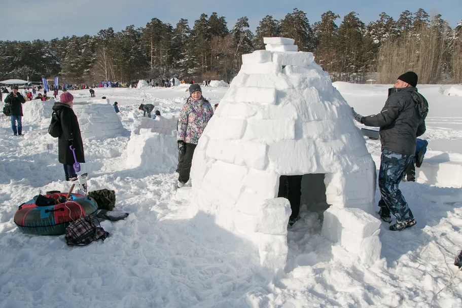 Рекордное количество иглу построили на берегу Обского моря новосибирцы