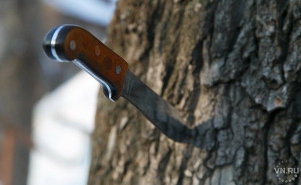 Ножом в голову ранил собутыльника мужчина в Новосибирске