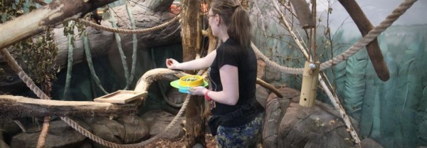 Если вы&nbsp;пропустили: лёд Байкала, меню для обезьян и&nbsp;&laquo;Катюша&raquo; из&nbsp;фонтана