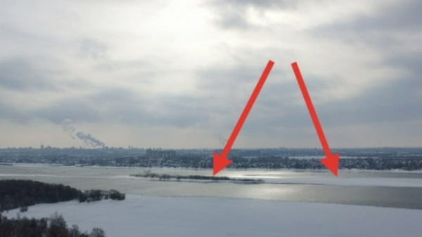 Неравнодушные новосибирцы призывают спасти собаку с острова Саранок