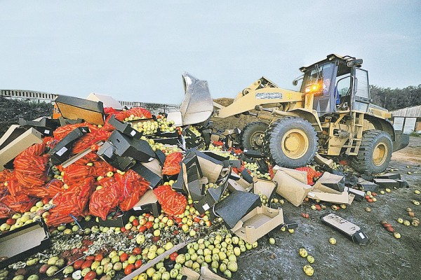 Уничтожение санкционной еды: Может, все-таки раздавать бедным продукты Уничтожение санкционной еды: Может, все-таки раздавать бедным продукты