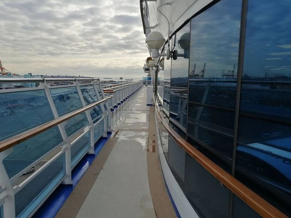 Вирусолог: &laquo;Русские, заболевшие коронавирусом на круизном лайнере Diamond Princess, могут помочь созданию вакцины&raquo;