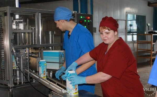 Молоко у селян будут закупать для комбината в Куйбышеве