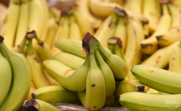 Бананы выращивает дома житель Новосибирска Бананы выращивает дома житель Новосибирска