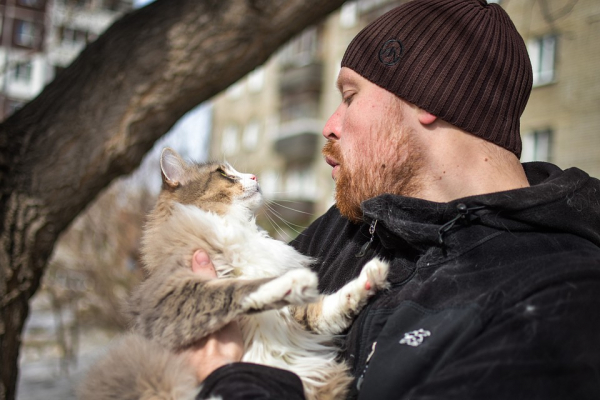Дневник спасателя котов: «Вытаскиваю их из форточек, пугаю с автовышек» Дневник спасателя котов: «Вытаскиваю их из форточек, пугаю с автовышек»