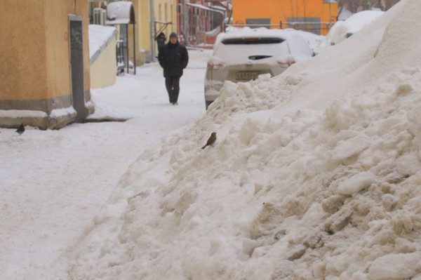 Скоро паводок: сугробы из опасной низины вывезут за полторы недели