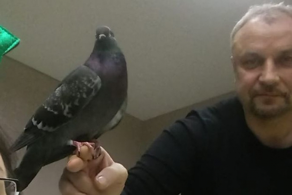 &laquo;Я просто спасал себе жизнь&raquo;: сибиряк защитился от пьяного хулигана травматом и попал в колонию