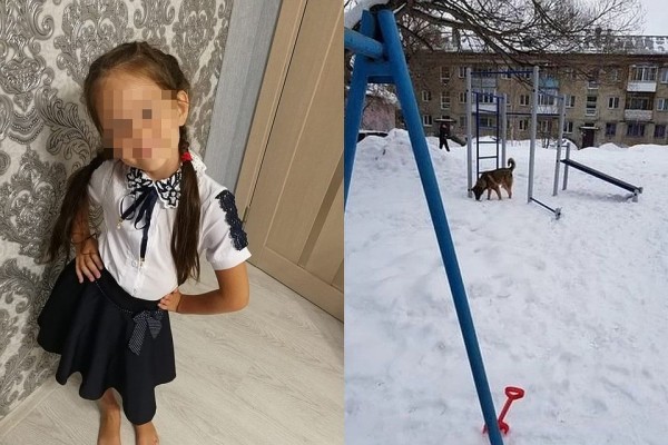 «Вцепилась сзади, стала кусать»: бродячая собака набросилась на школьницу в Новосибирске «Вцепилась сзади, стала кусать»: бродячая собака набросилась на школьницу в Новосибирске