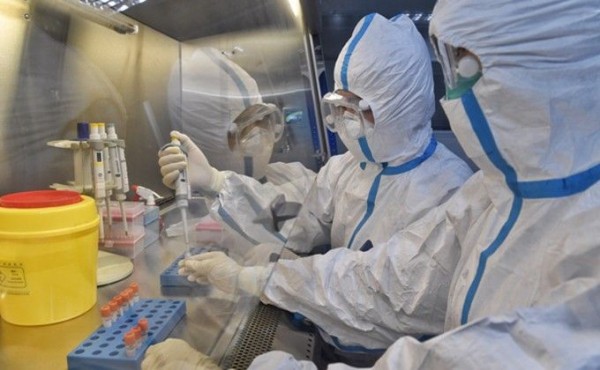 Китай скрыл информацию об эпидемии? Эксперты ВОЗ рассказали правду Китай скрыл информацию об эпидемии? Эксперты ВОЗ рассказали правду