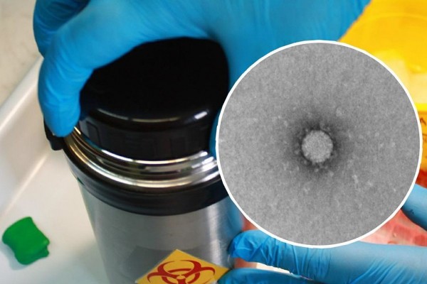 Коронавирусу подсунут муляжи: какие вакцины пробуют сделать в &laquo;Векторе&raquo; и на ком их испытывают