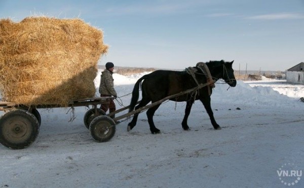 «Поясок потуже»: к кризису из-за коронавируса готовы жители области «Поясок потуже»: к кризису из-за коронавируса готовы жители области