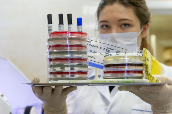 Тесты на коронавирус для всех: реально ли проверить целую страну