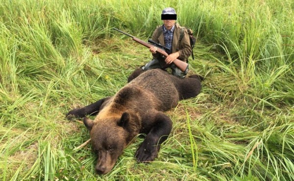 300 тысяч за селфи с мертвым медведем заплатил браконьер из Оби 300 тысяч за селфи с мертвым медведем заплатил браконьер из Оби