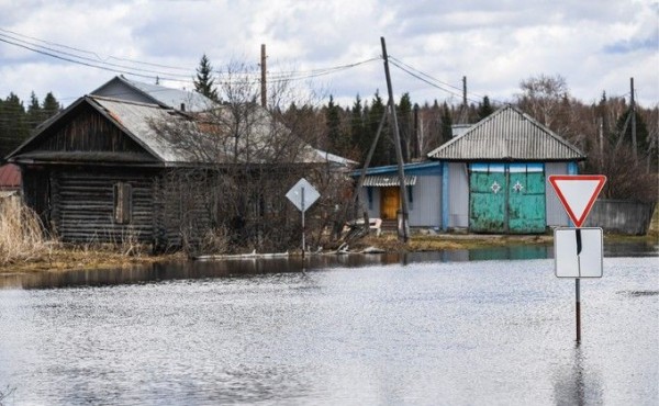 Самые масштабные паводки в Новосибирской области – годы Самые масштабные паводки в Новосибирской области – годы