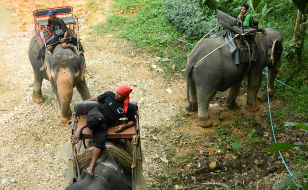 Летом жара убьет коронавирус? Что думают ученые