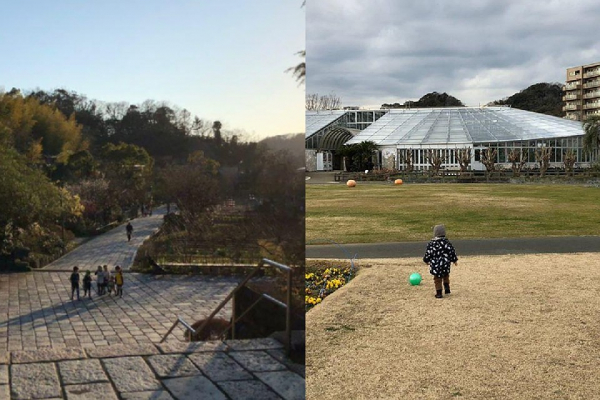 В Германии закрыли кладбища, а в Иордании - драки за хлеб: новосибирцы рассказали о карантине за границей