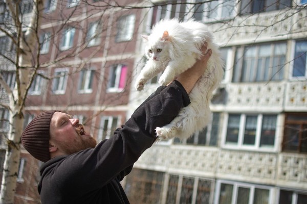 Дневник спасателя котов: «Вытаскиваю их из форточек, пугаю с автовышек» Дневник спасателя котов: «Вытаскиваю их из форточек, пугаю с автовышек»