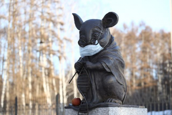 Новосибирск надел маски – мода нерабочей недели 2020 Новосибирск надел маски – мода нерабочей недели 2020