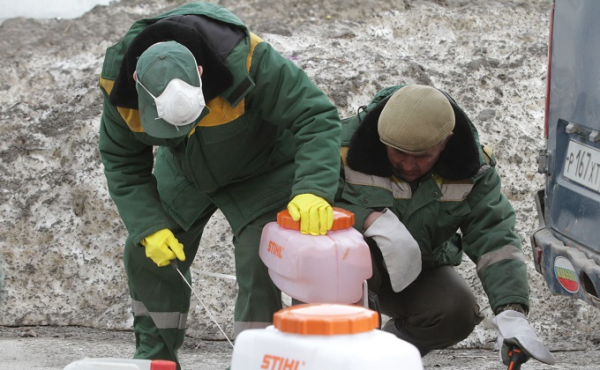 Химикатами от коронавируса залили набережную в Новосибирске Химикатами от коронавируса залили набережную в Новосибирске