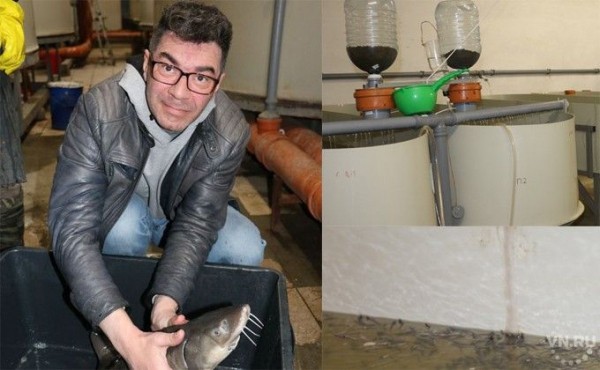 Тонну рыбы подарил Новосибирскому зоопарку житель Тогучина