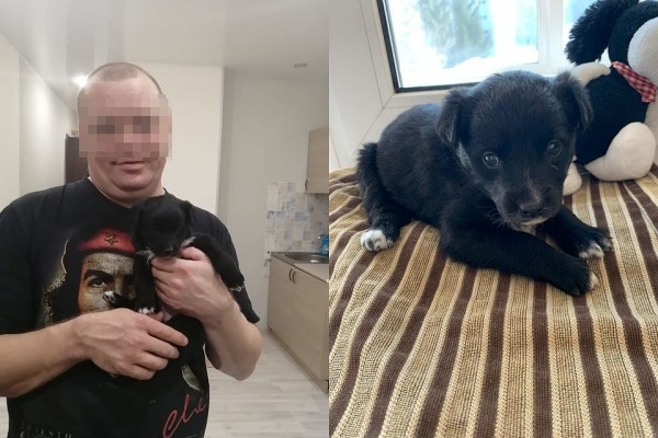 «Понравился ваш щеночек»: парень берет собак из приютов, после чего животные исчезают