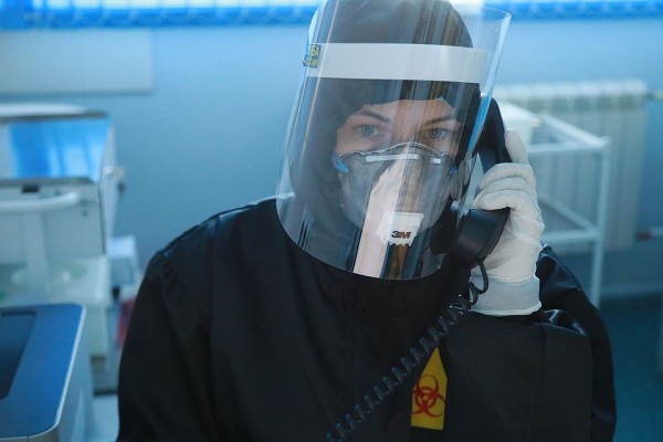 Коронавирус в Новосибирске, последние новости на 22 апреля 2020 года: увеличенное пособие безработным и кот из Вьетнама