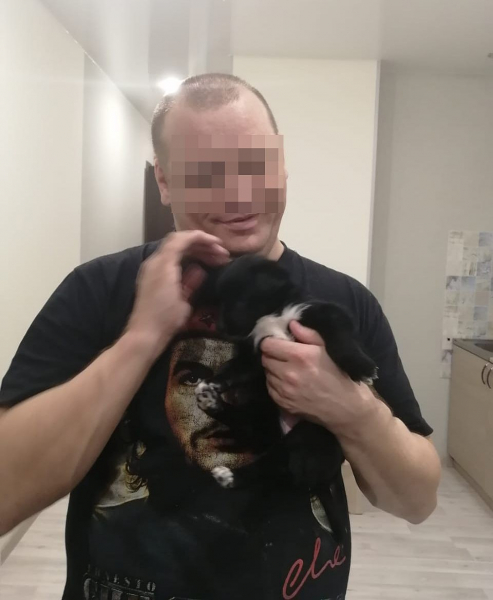 «Понравился ваш щеночек»: парень берет собак из приютов, после чего животные исчезают