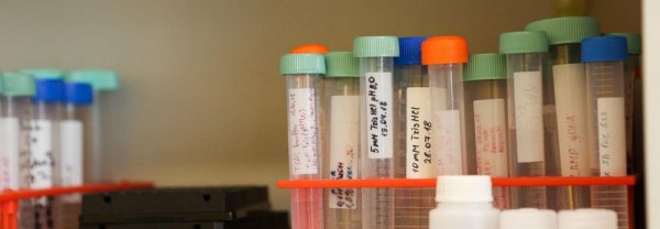 Биохимик: &laquo;Тест на&nbsp;коронавирус занимает не&nbsp;более трёх часов&raquo;