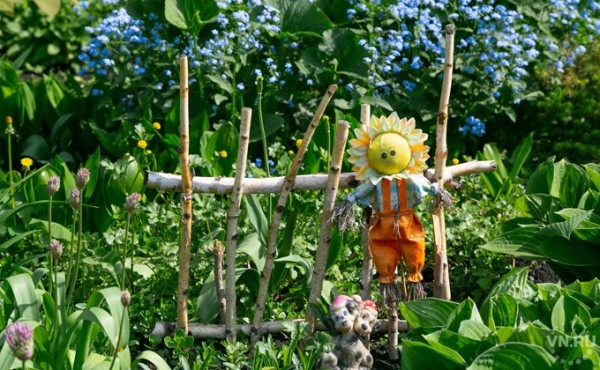 Дача во время карантина и самоизоляции: можно ли ездить