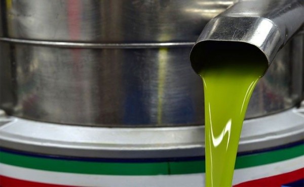 Ворвался в дом и утащил центрифугу житель Черепаново