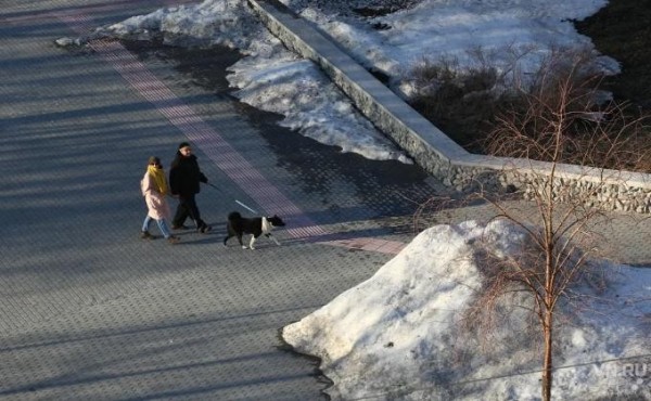 Форма справки для передвижения по Новосибирску  6 - 30 апреля 