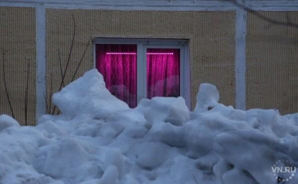 Сокращение срока самоизоляции правительство региона пока не рассматривало