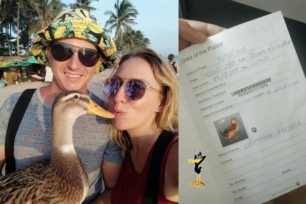 &laquo;Она крякает и плачет! Для нее это стресс&raquo;: туристов, вернувшихся в Россию из Вьетнама, разлучили с уткой Бориславой