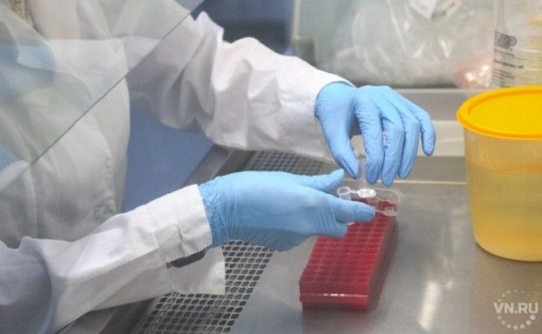 Тестов на коронавирус стали больше делать в регионе Тестов на коронавирус стали больше делать в регионе