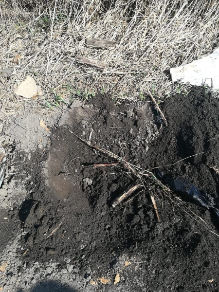 &laquo;Мы старика хлебом подкармливали, а он маньяк!&raquo;: дедушка-тихоня оказался серийным убийцей