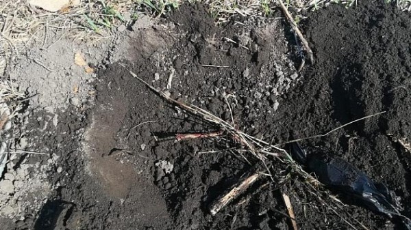 В полиции рассказали подробности о серии убийств в посёлке Северное Новосибирской области