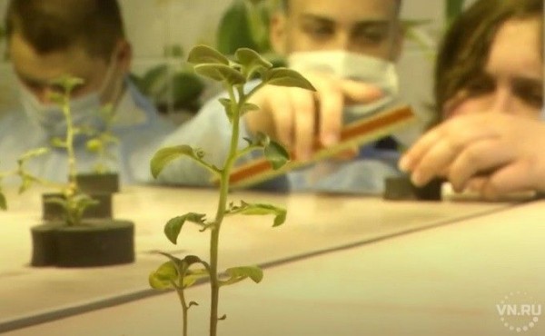 Селекционеров готовят в одной из школ Багана