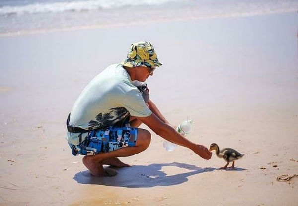 &laquo;Она крякает и плачет! Для нее это стресс&raquo;: туристов, вернувшихся в Россию из Вьетнама, разлучили с уткой Бориславой