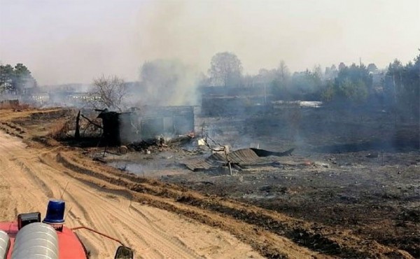Пожары подобрались к популярным дачным поселкам под Новосибирском Пожары подобрались к популярным дачным поселкам под Новосибирском