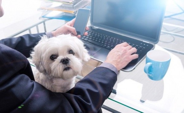 Tele2 начислит гигабайты тем, кто сидит дома