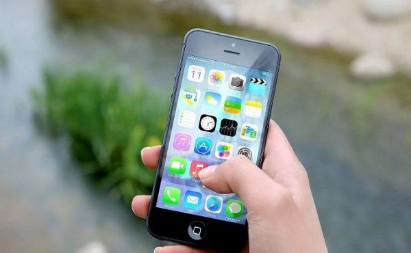 Пенсионерка пришла за справкой о несудимости и украла iPhone