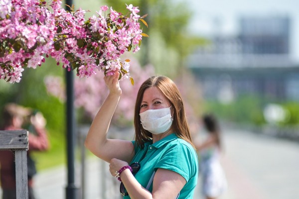 Коронавирус в Новосибирске, последние новости на 17 мая 2020 года: следователи проверят зарплаты врачей, Коронавирус в Новосибирске, последние новости на 17 мая 2020 года: следователи проверят зарплаты врачей,