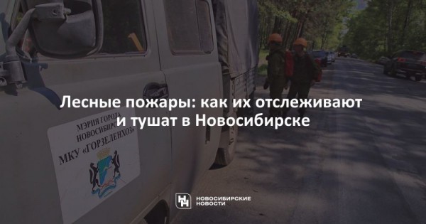 Лесные пожары: как их&nbsp;отслеживают и&nbsp;тушат в&nbsp;Новосибирске