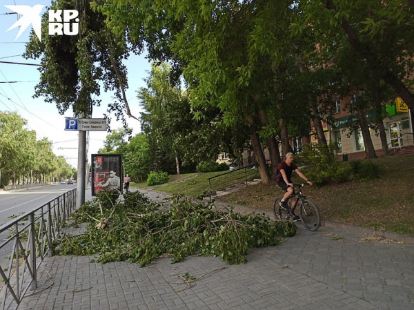 Полетело все: деревья падали на дома и машины, остановки сносило - фото и видео бури 26 мая 2020 года в Новосибирске