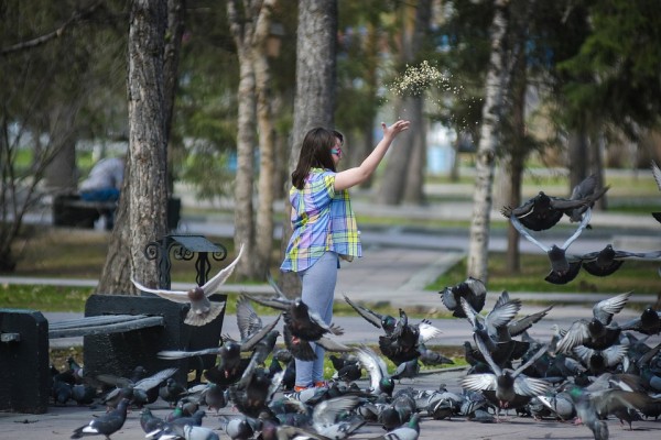 Коронавирус в Новосибирске, последние новости на 12 мая 2020 года: сибирякам разрешили гулять Коронавирус в Новосибирске, последние новости на 12 мая 2020 года: сибирякам разрешили гулять