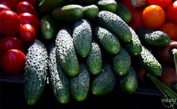 Один приятель выпил, а другой закусил огурчиком прямо в магазине