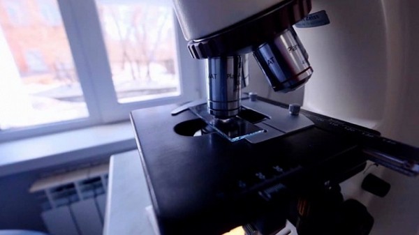 Учёные Новосибирска получили штамм коронавируса для вакцины Учёные Новосибирска получили штамм коронавируса для вакцины