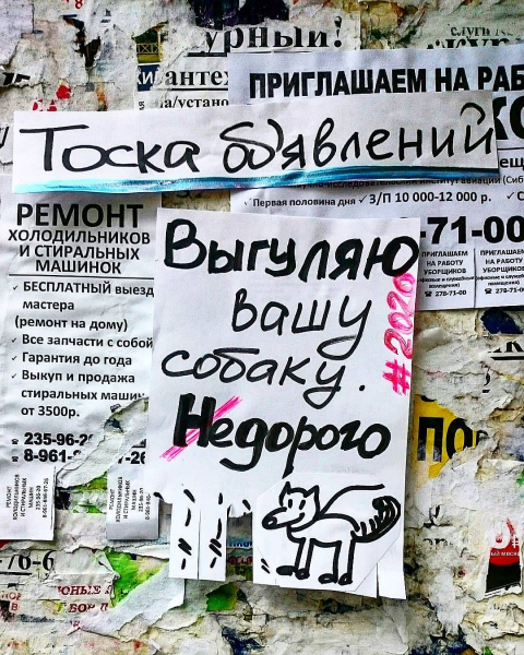 Монстрация 2020 в Новосибирске: самые яркие фото Монстрация 2020 в Новосибирске: самые яркие фото