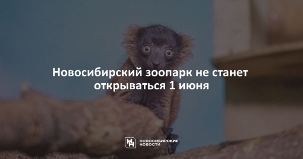 Новосибирский зоопарк не станет открываться 1 июня Новосибирский зоопарк не станет открываться 1 июня