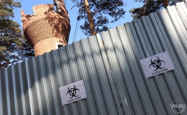 Какие организации остаются закрытыми в Новосибирской области